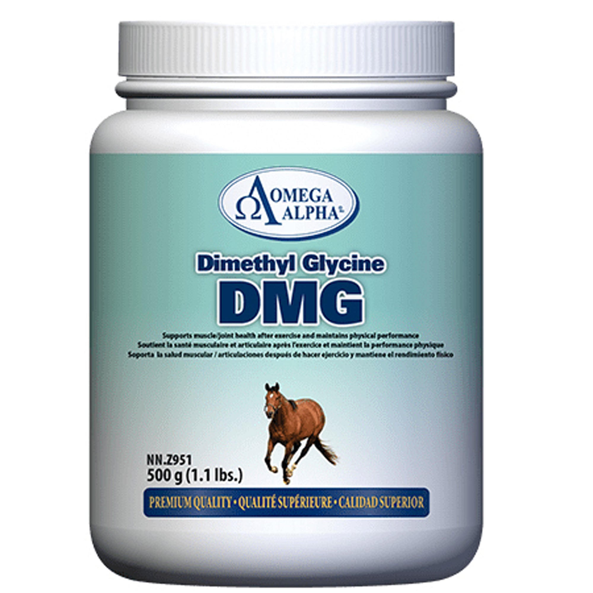Equine Dimethyl Glycine (DMG) Supplement For Horses