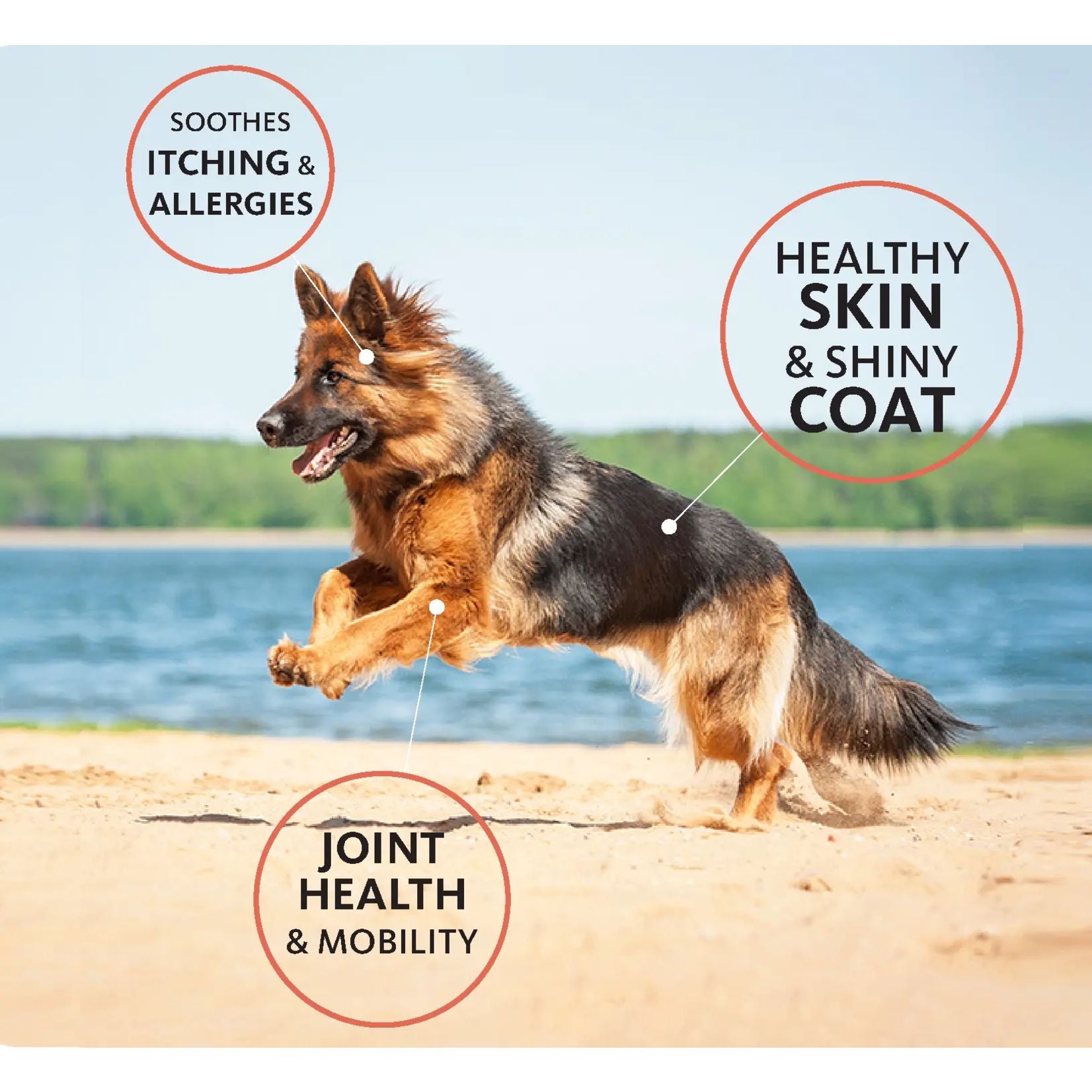 Brilliant Salmon Oil Supplement