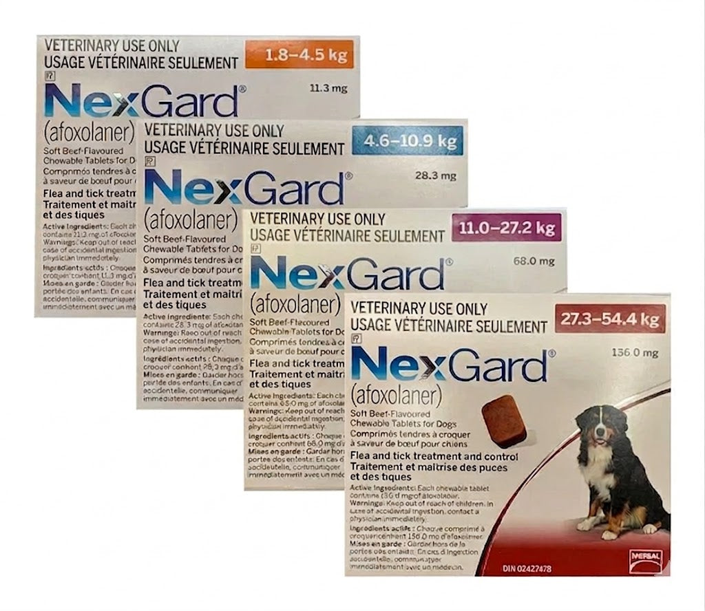 NexGard (afoxolaner) Chewable Tablet For Dogs 11 To 27.2 Kg (Purple)