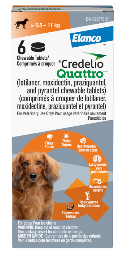 Credelio Quattro Chewable Tablet For Dogs 5.6 To 11 Kg (Orange)