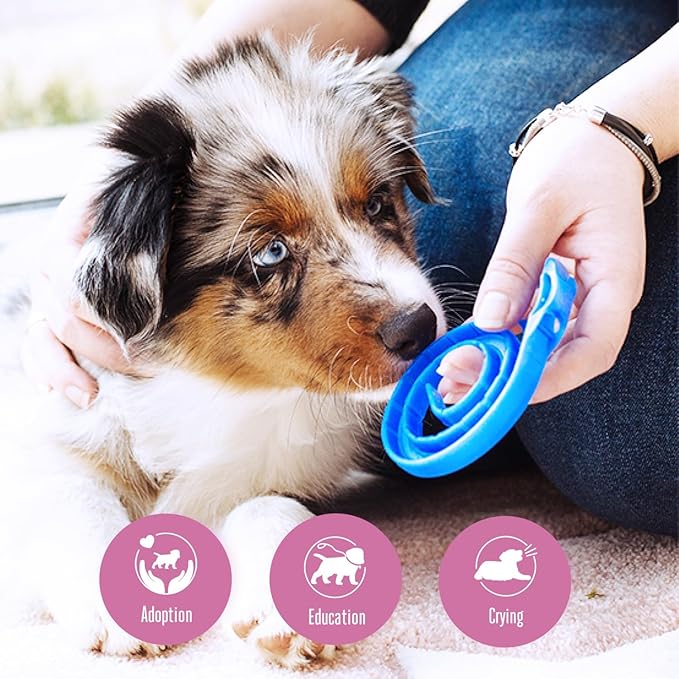 ADAPTIL Calm On - The - Go Collar For Dogs - Pets Drug Mart