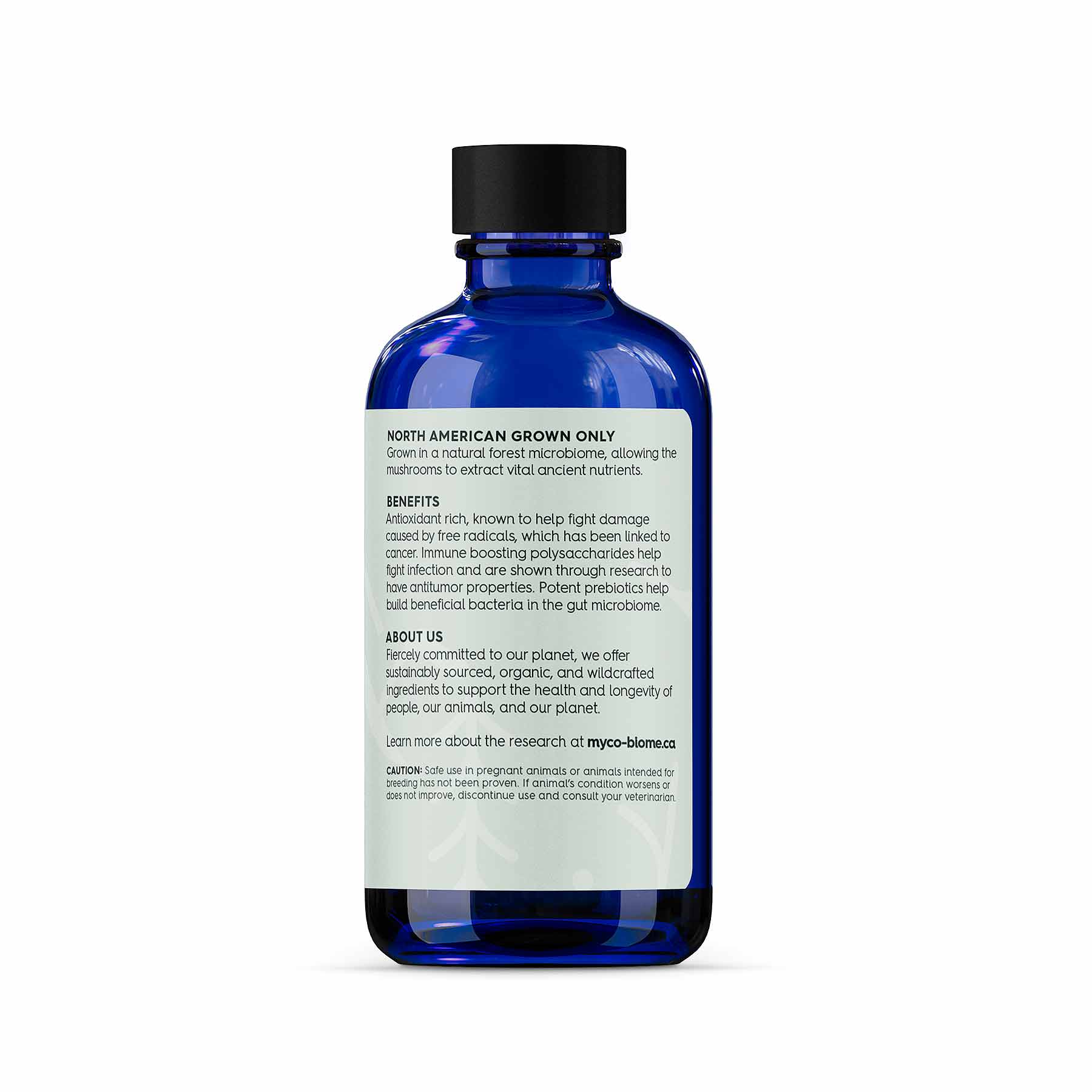 Adored Beast Equine Turkey Tail Mushrooms Liquid Extract - Pets Drug Mart