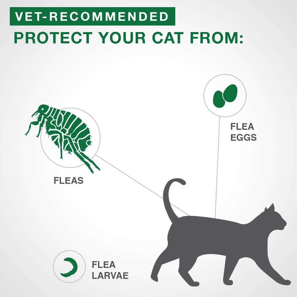Advantage II Flea Protection For Cats Over 4 Kg (Purple) - Pets Drug Mart