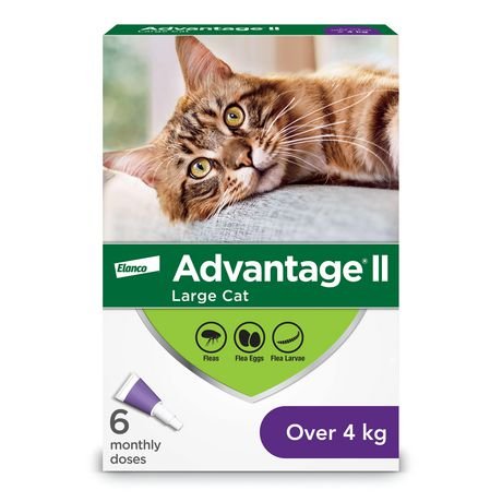 Advantage II Flea Protection For Cats Over 4 Kg (Purple) - Pets Drug Mart