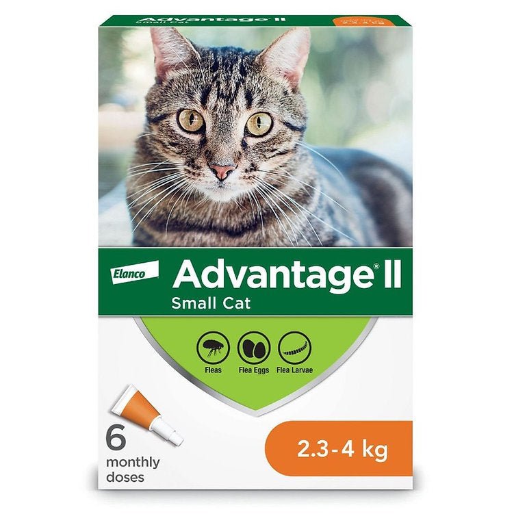 Advantage II Flea Treatment For Cats 2.3 To 4 Kg (Orange) - Pets Drug Mart