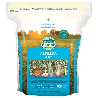 Alfalfa Hay - Pets Drug Mart