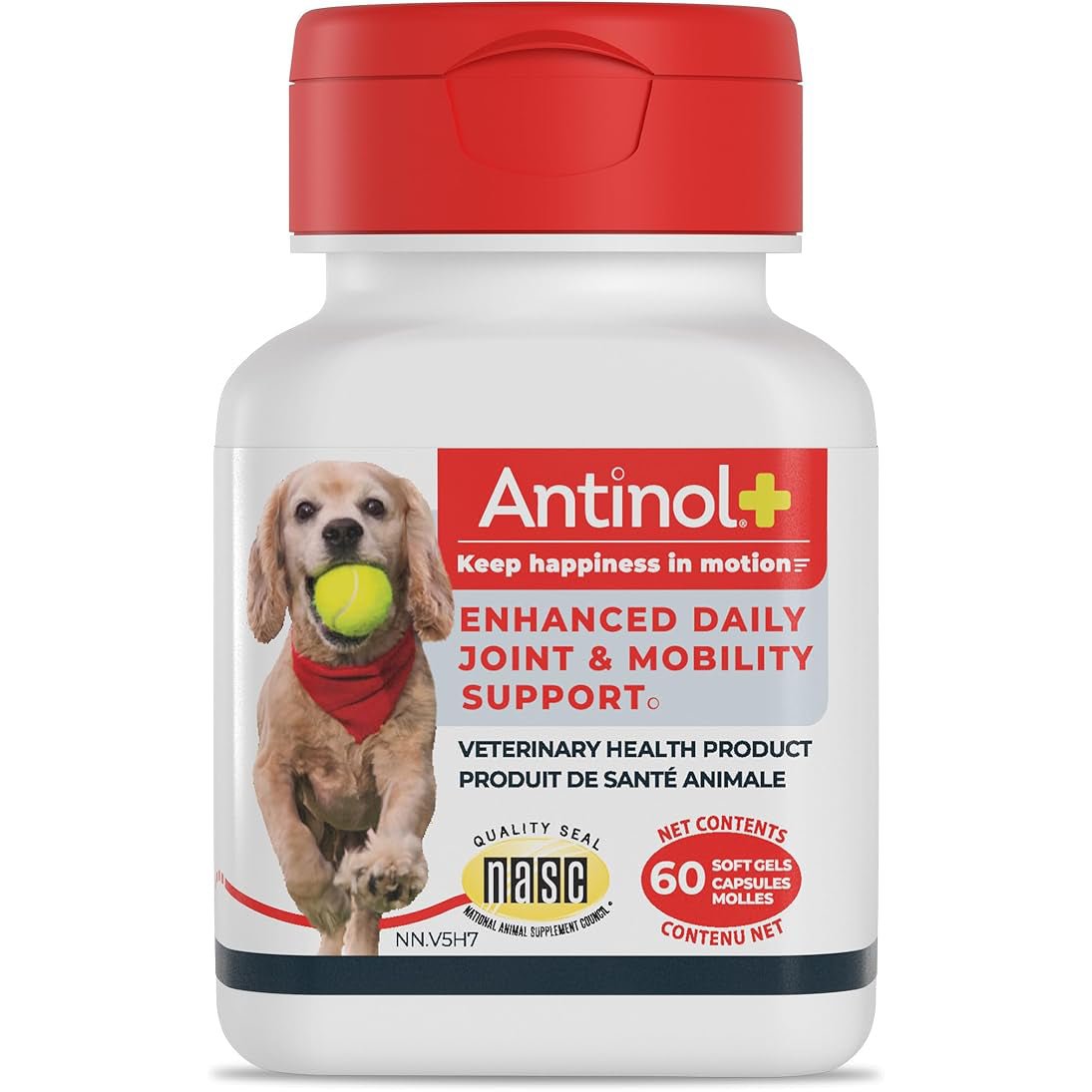 Antinol+ Enhanced Daily Joint & Mobility Supplement for Dogs - Pets Drug Mart