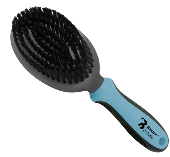 Baxter & Bella Bristle Brush for Dogs - Pets Drug Mart