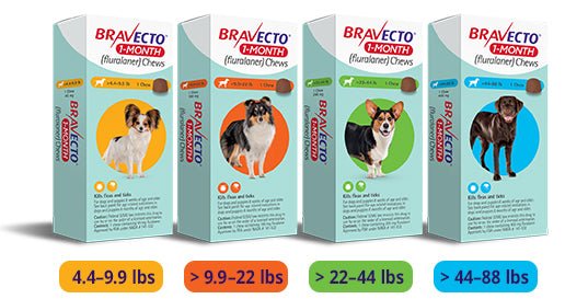 Bravecto 1 - Month Chews For Dogs 2 to 4.5 Kg (Yellow) - Pets Drug Mart