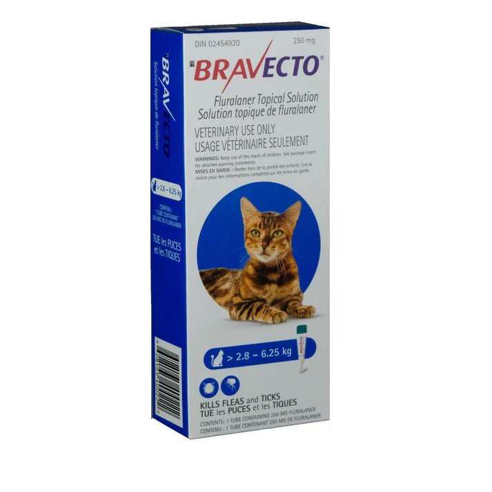 Bravecto Topical Solution For Cats 2.81 To 6.26 Kg (Blue) - Pets Drug Mart