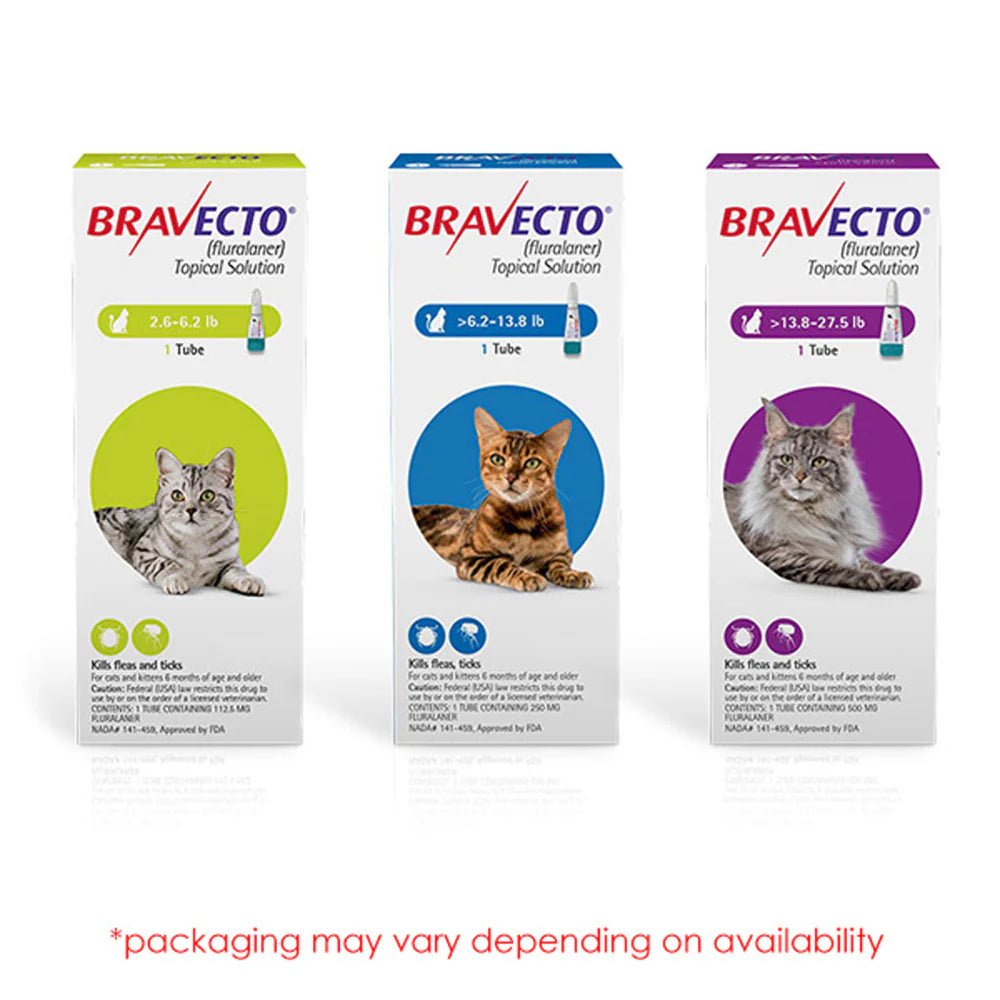 Bravecto Topical Solution For Cats 2.81 To 6.26 Kg (Blue) - Pets Drug Mart