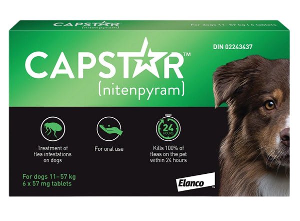 Capstar Anti - Flea Treatment for Dogs Over 11 Kg (Green) - Pets Drug Mart