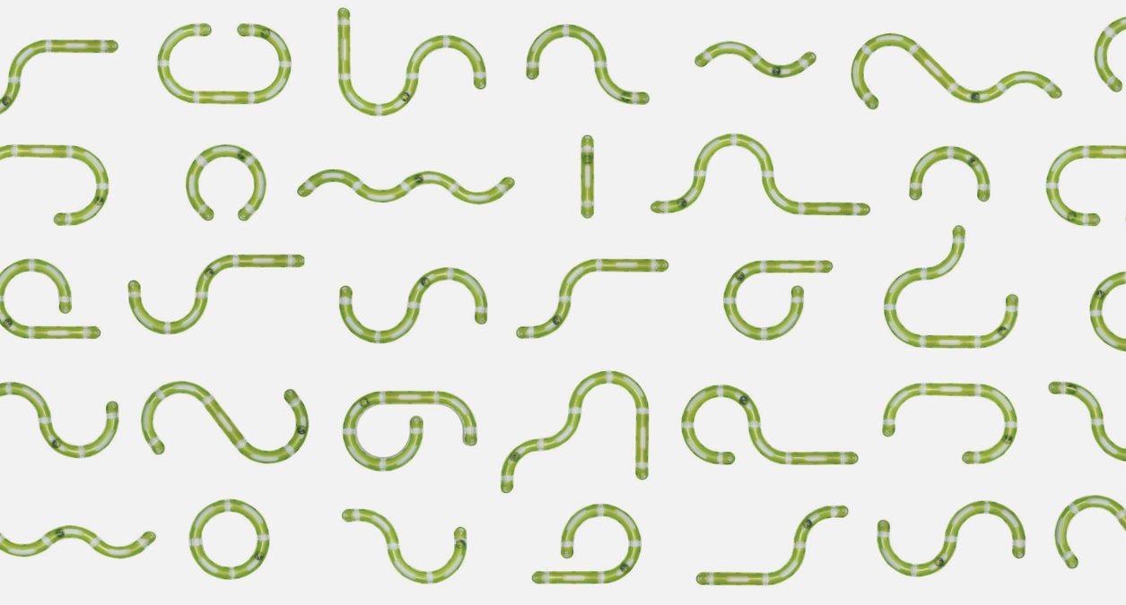 Catit Senses 2.0 Play Circuit Cat Toy - Pets Drug Mart