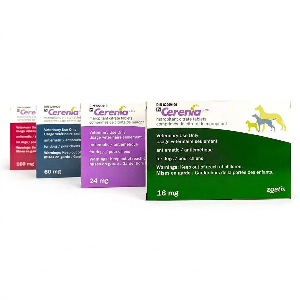Cerenia (maropitant) Tablet - Pets Drug Mart