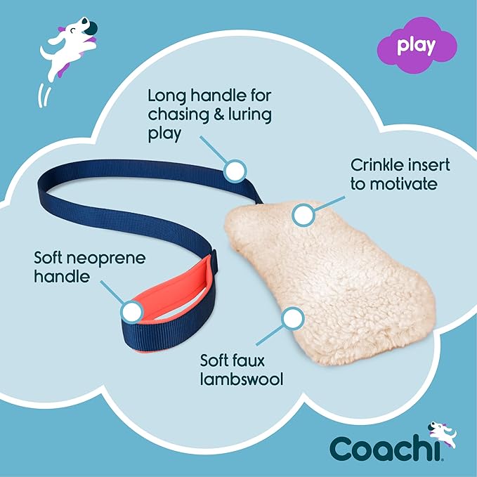 Coachi Chase & Crinkle Toy - Pets Drug Mart