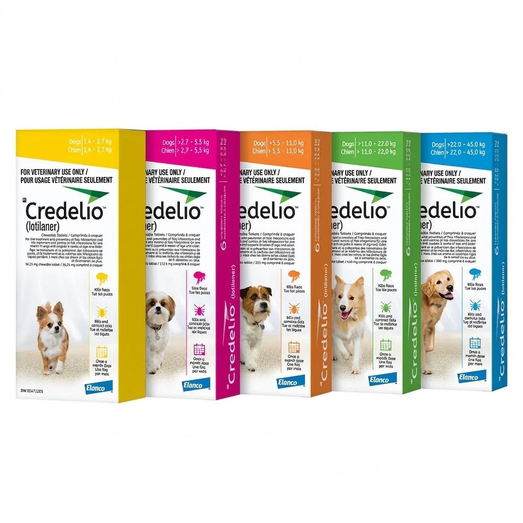Credelio (lotilaner) Chewable Tablet For Dogs 1.4 To 2.7 Kg (Yellow) - Pets Drug Mart