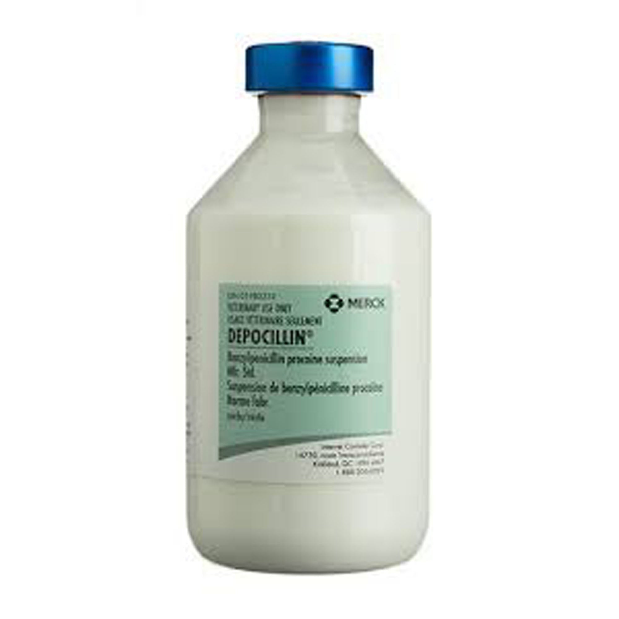 Depocillin (benzylpenicillin procaine) 300 000 IU/mL Injectable - Pets Drug Mart