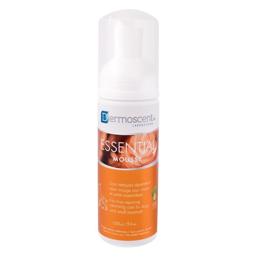 Dermoscent Essential Mousse Rinse Free Cleanser For Dogs and Small Mammals - Pets Drug Mart