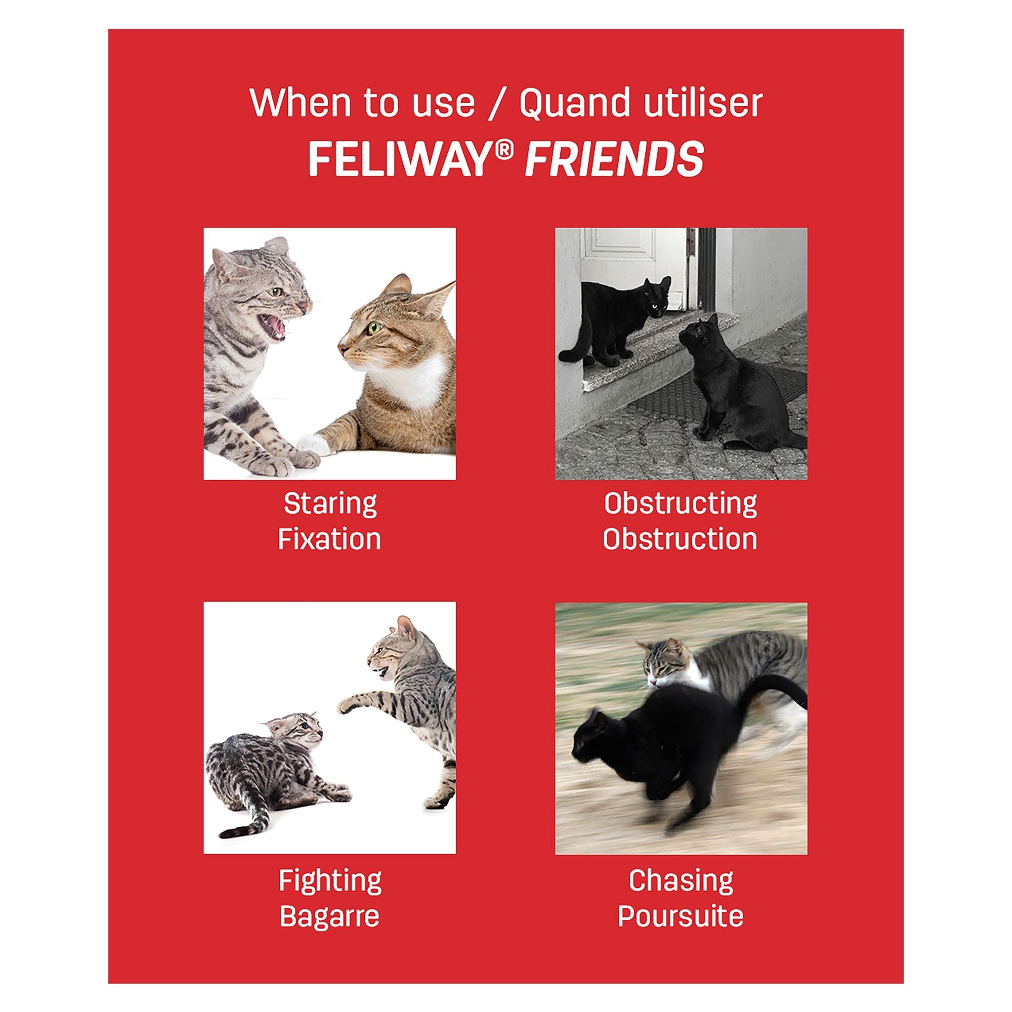 Feliway Friends Calming Diffuser Refill For Cats - Pets Drug Mart