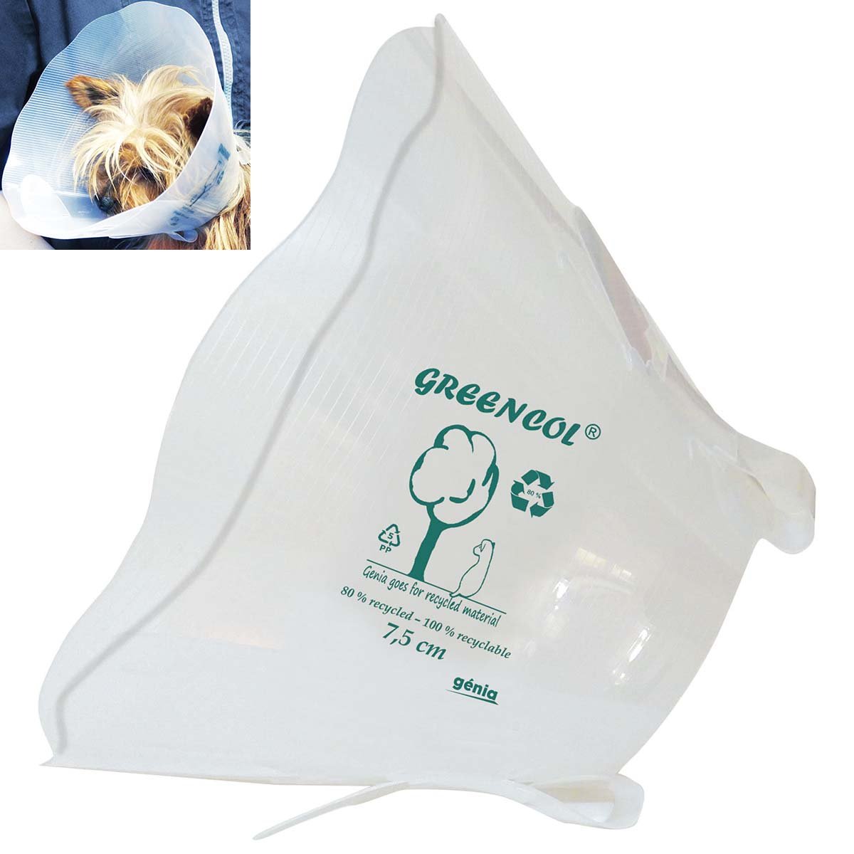 Greencol Transparent Recovery Collar Cone For Dogs - Pets Drug Mart