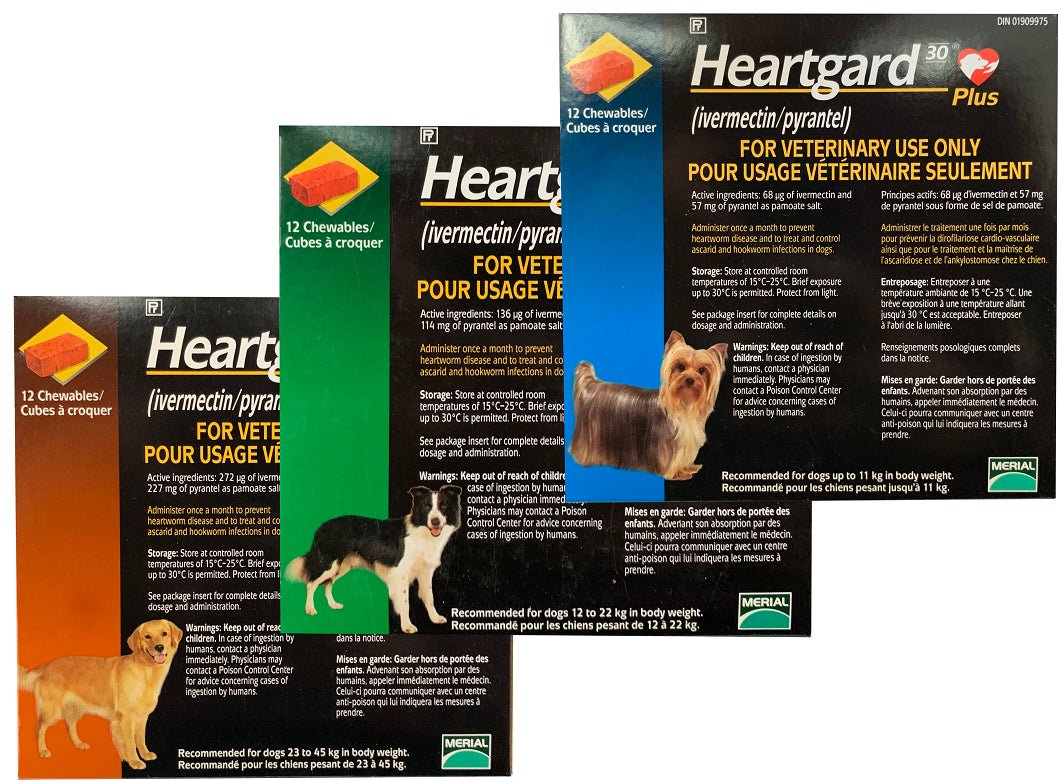 Heartgard Plus (ivermectin/pyrantel) For Dogs 12 To 22 Kg (Green) - Pets Drug Mart