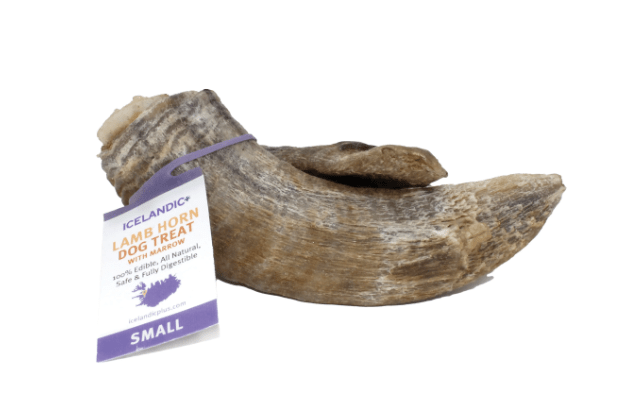 Icelandic+ Lamb Horn for Dogs - Pets Drug Mart