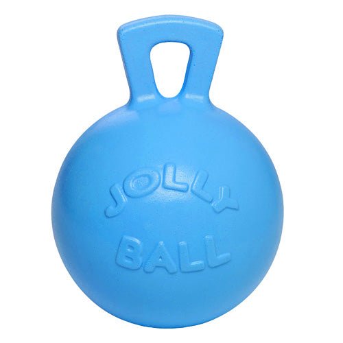 Jolly Ball 10 inch - Pets Drug Mart