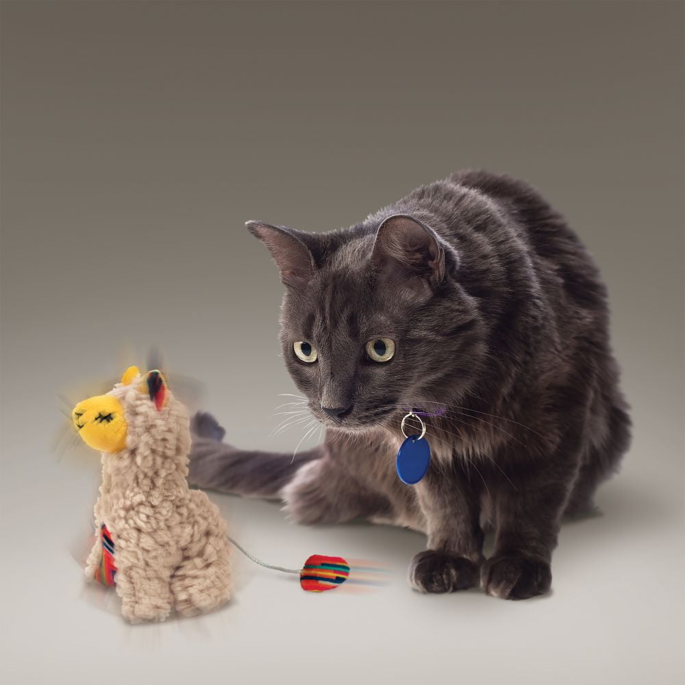 KONG Buzzy Softies with Catnip - Pets Drug Mart