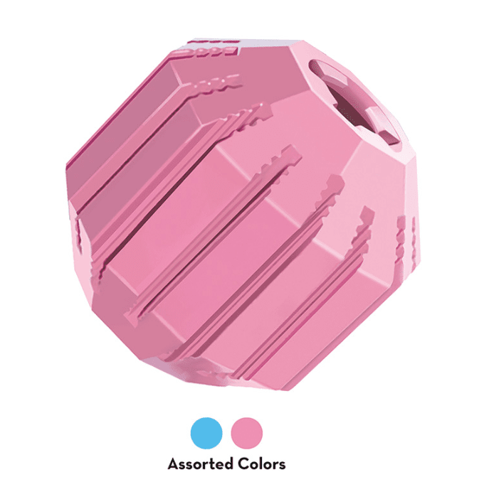 KONG Puppy Activity Ball - Pets Drug Mart