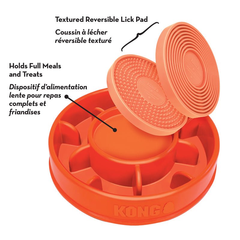 Licks Mealtime Interactive Feeder For Dogs - Pets Drug Mart