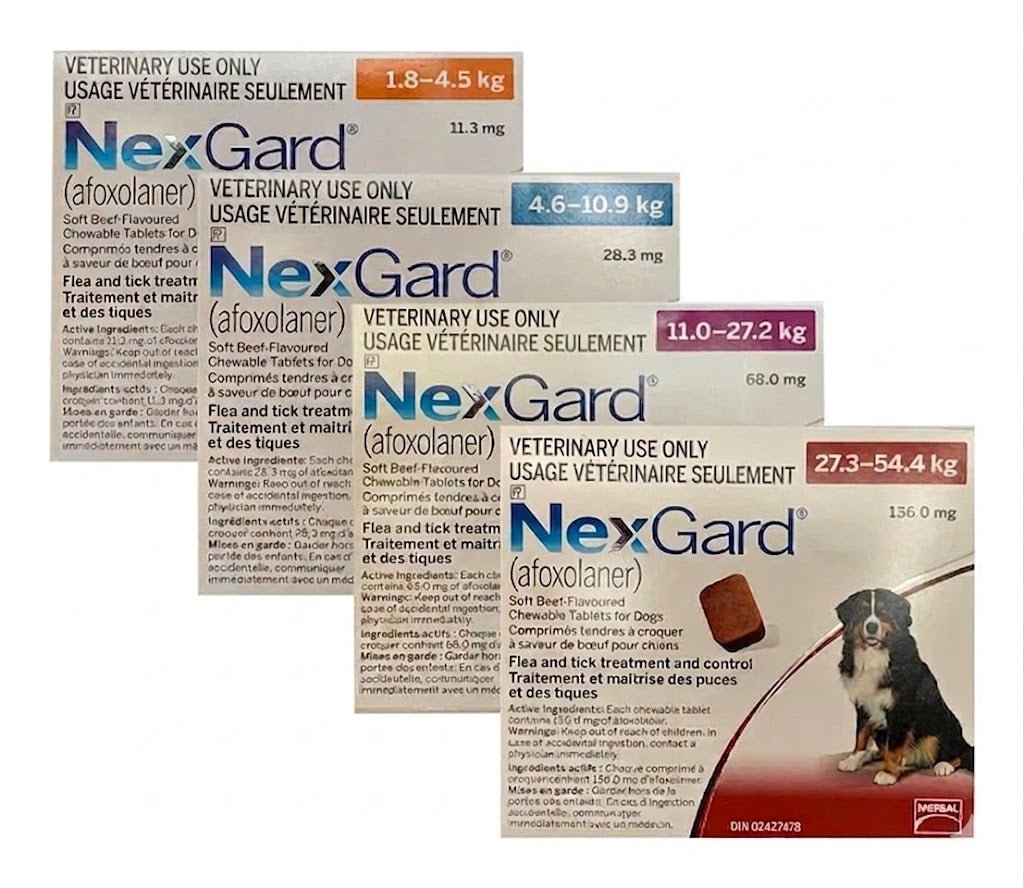 NexGard (afoxolaner) Chewable Tablet For Dogs 11 To 27.2 Kg (Purple) - Pets Drug Mart