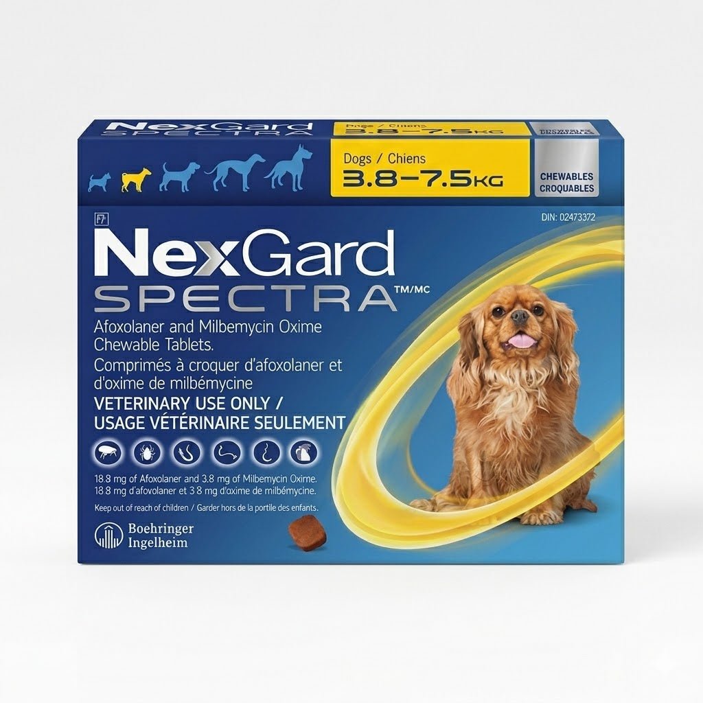 NexGard Spectra Chewable Tablet For Dogs 3.8 To 7.5 Kg (Yellow) - Pets Drug Mart