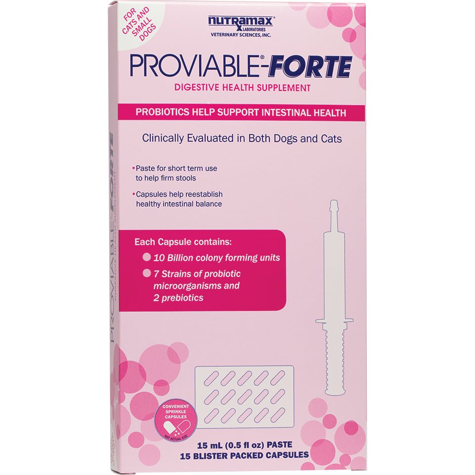Nutramax Proviable - Forte Digestive Health Supplement Kit - Pets Drug Mart