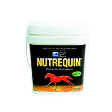 Nutrequin Classic Vitamin Mineral Supplement For Horses - Pets Drug Mart