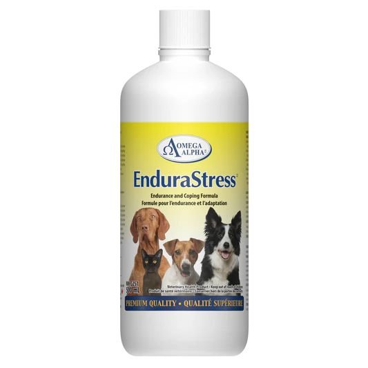Omega Alpha EnduraStress Supplement For Cats & Dogs - Pets Drug Mart