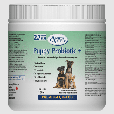 Omega Alpha Puppy Probiotics+ - Pets Drug Mart
