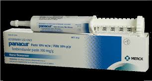Panacur (fenbendazole) Paste Syringe 10% - Pets Drug Mart