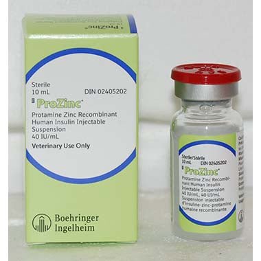 ProZinc (protamine zinc recombinant human insulin) 40 units/mL Vial - Pets Drug Mart