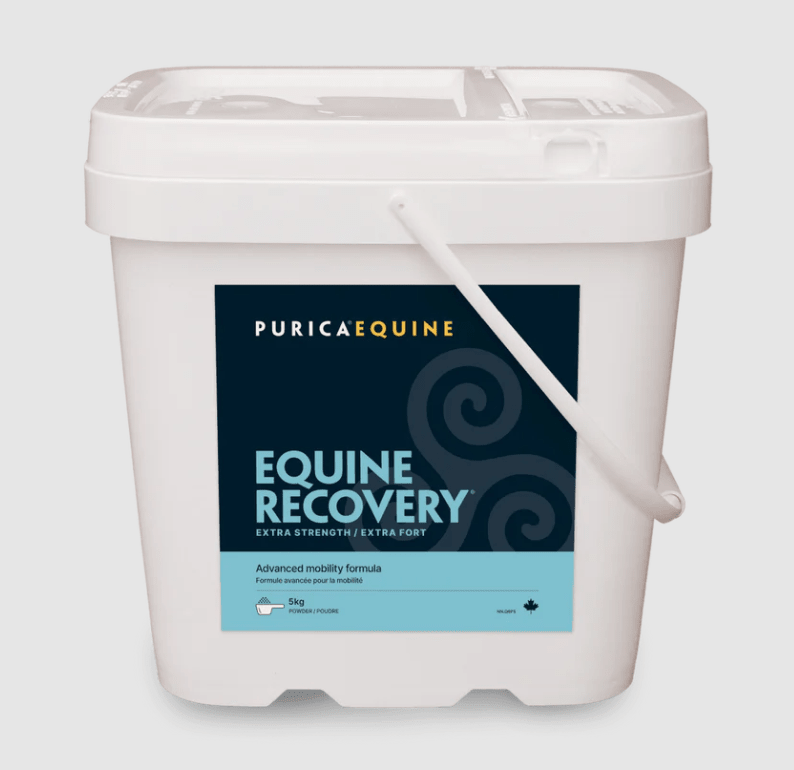 Purica Equine Recovery - Pets Drug Mart