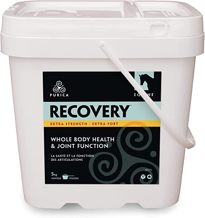 Purica Equine Recovery Extra Strength - Pets Drug Mart
