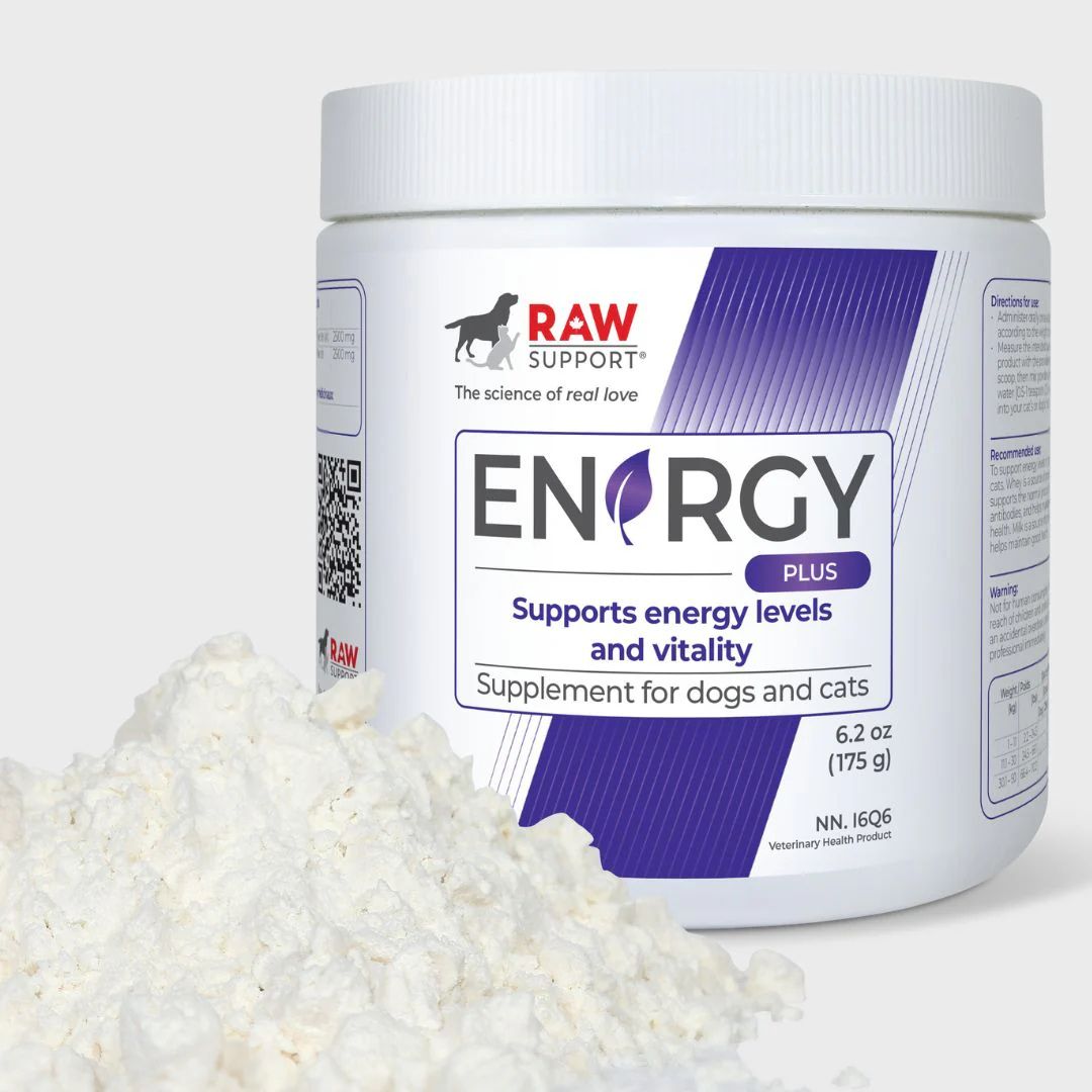 Raw Support Energy Supplement For Cats & Dogs - Pets Drug Mart