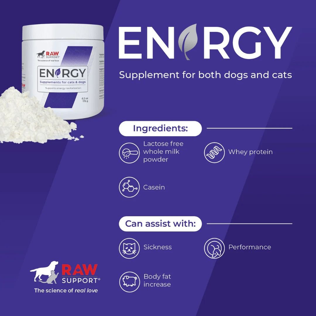 Raw Support Energy Supplement For Cats & Dogs - Pets Drug Mart