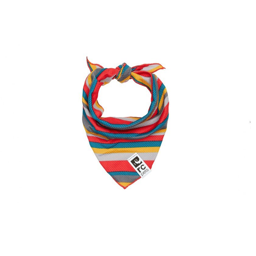 RC Pets Zephyr Multi - Stripes Cooling Bandana - Pets Drug Mart