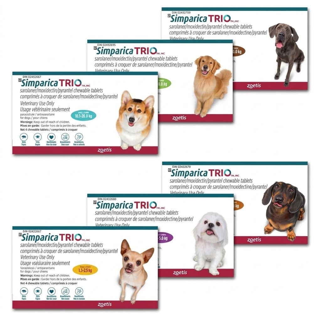 Simparica TRIO Chewable Tablet for Dogs 5.1 to 10 kg (Caramel) - Pets Drug Mart