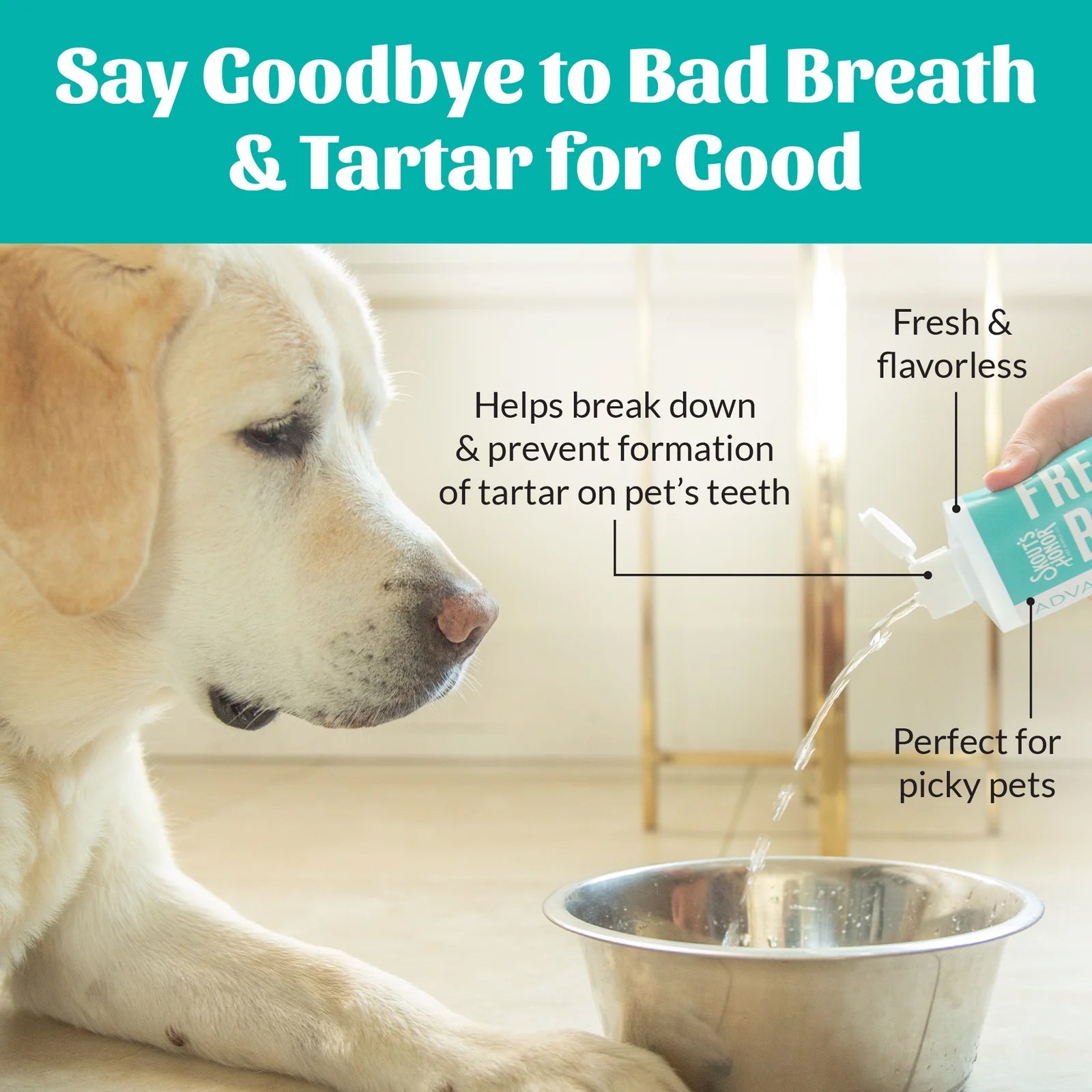 Skout's Honor Oral Care Water Additive - Pets Drug Mart