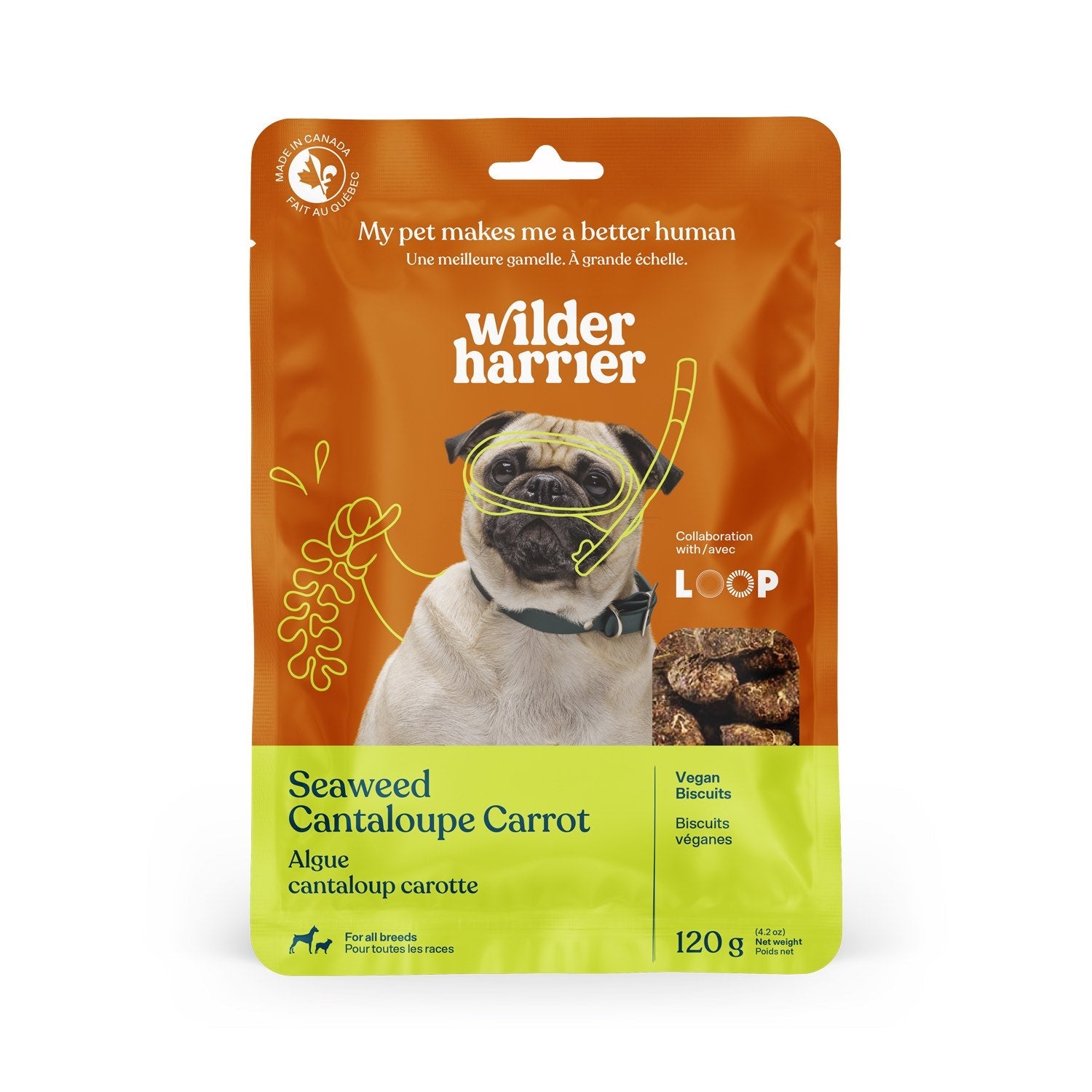 Wilder Harrier Vegan Biscuits Seaweed Cantaloupe & Carrot - Pets Drug Mart
