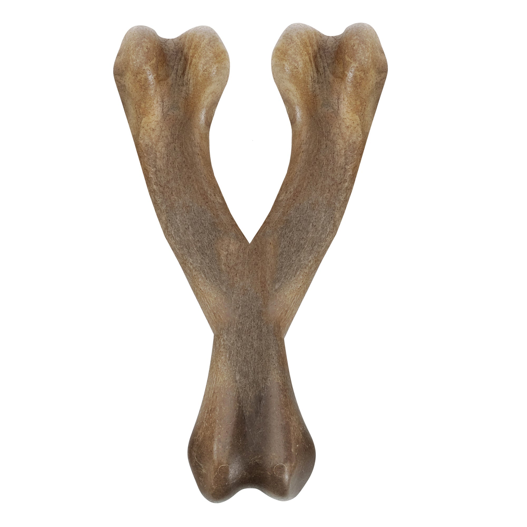 Zeus Nosh Wishbone Chew Toy for Dogs - Pets Drug Mart